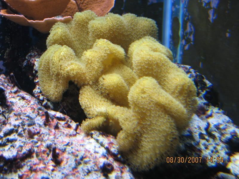 IMG_1534.jpg