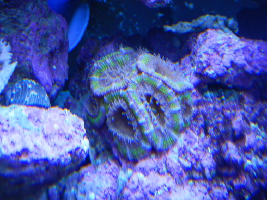 DSCN0096.jpg