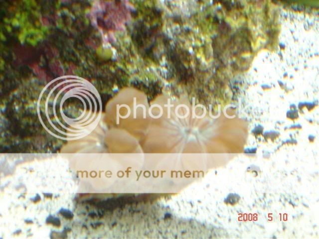 DSC02022Small.jpg