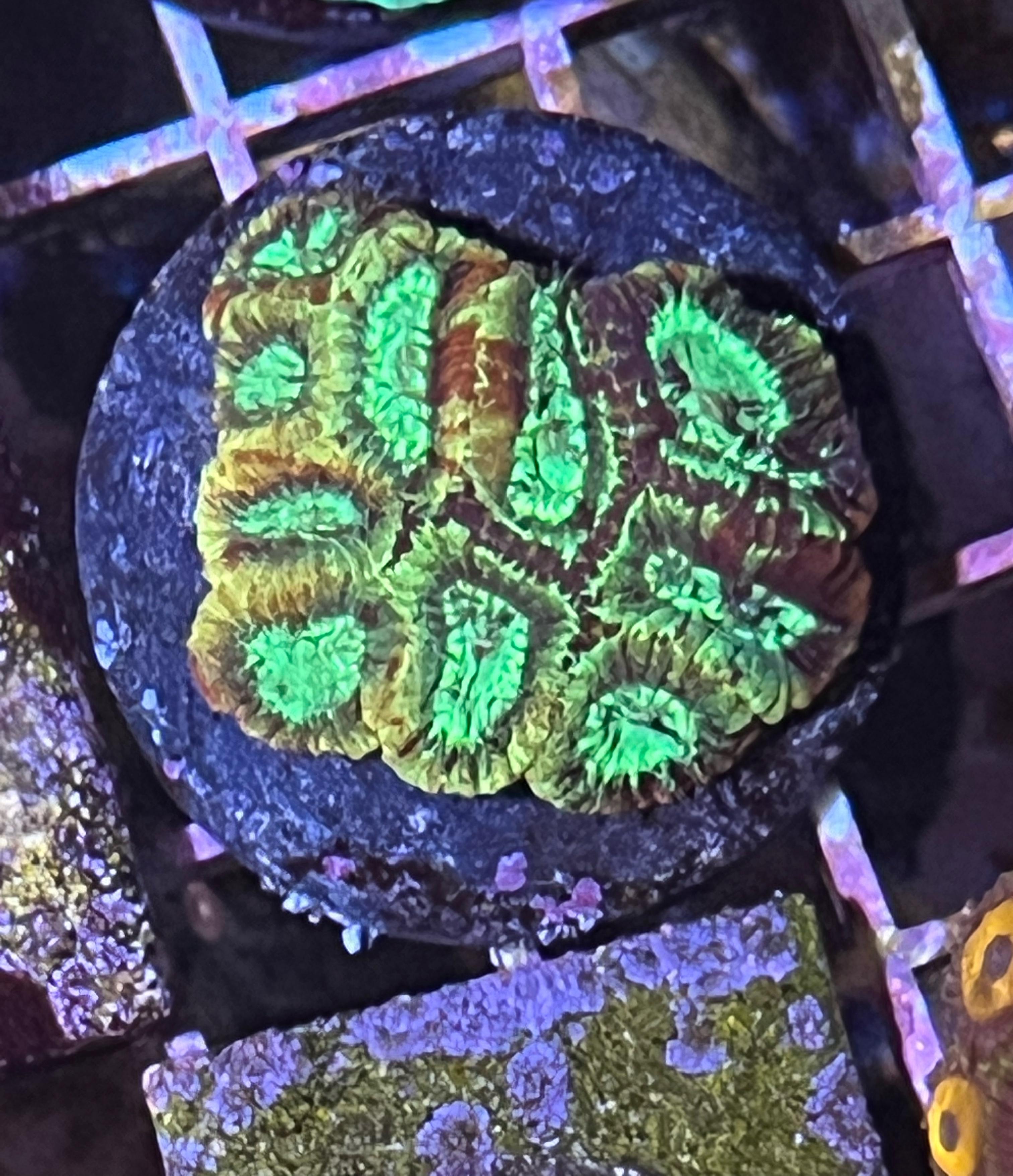 949289923e0614cb89d7090d7b669ef8.jpg