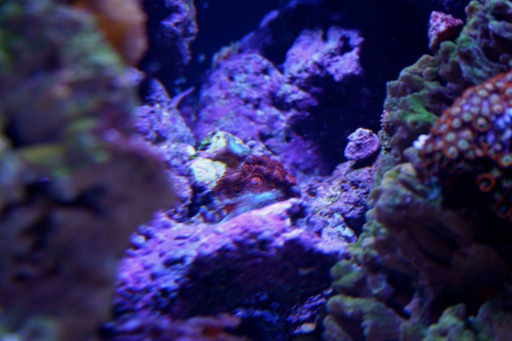 IMG_0165.jpg