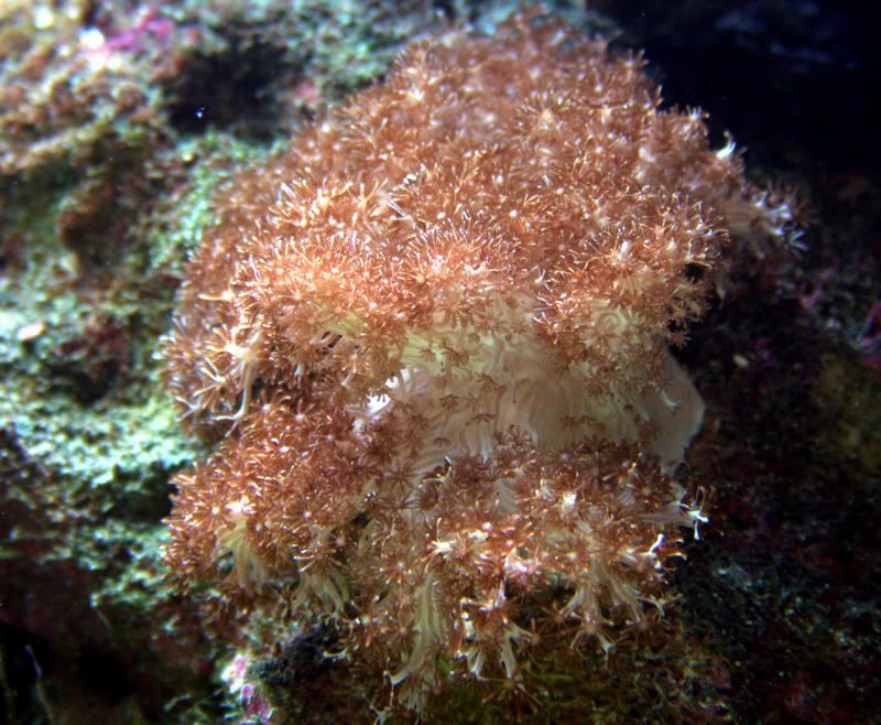 IMG_5379.jpg