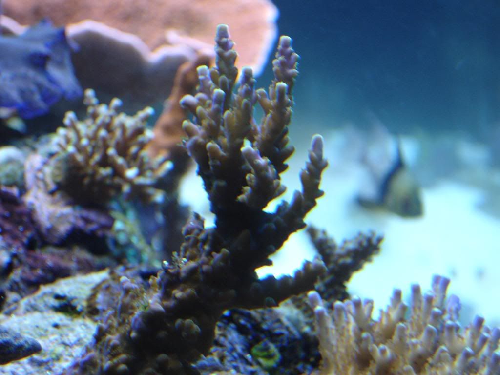 DSC04618.jpg