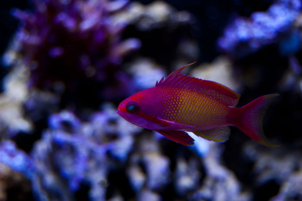 DSC_0414.jpg