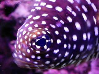 GT020908_2027_51-cp-am-320.jpg