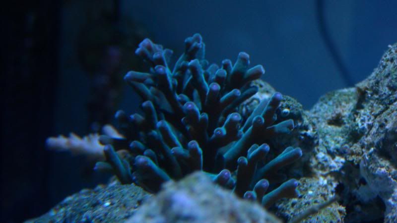 DSCN1327.jpg
