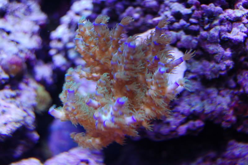 DSC_3796.jpg
