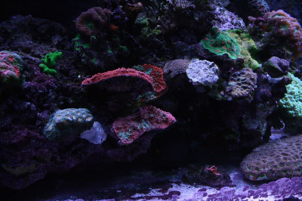 IMG_7875.jpg