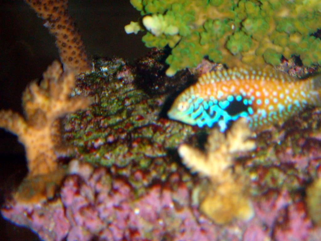 DSC02287_edited.jpg