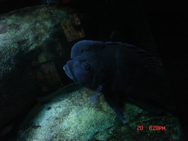DSC01359.jpg