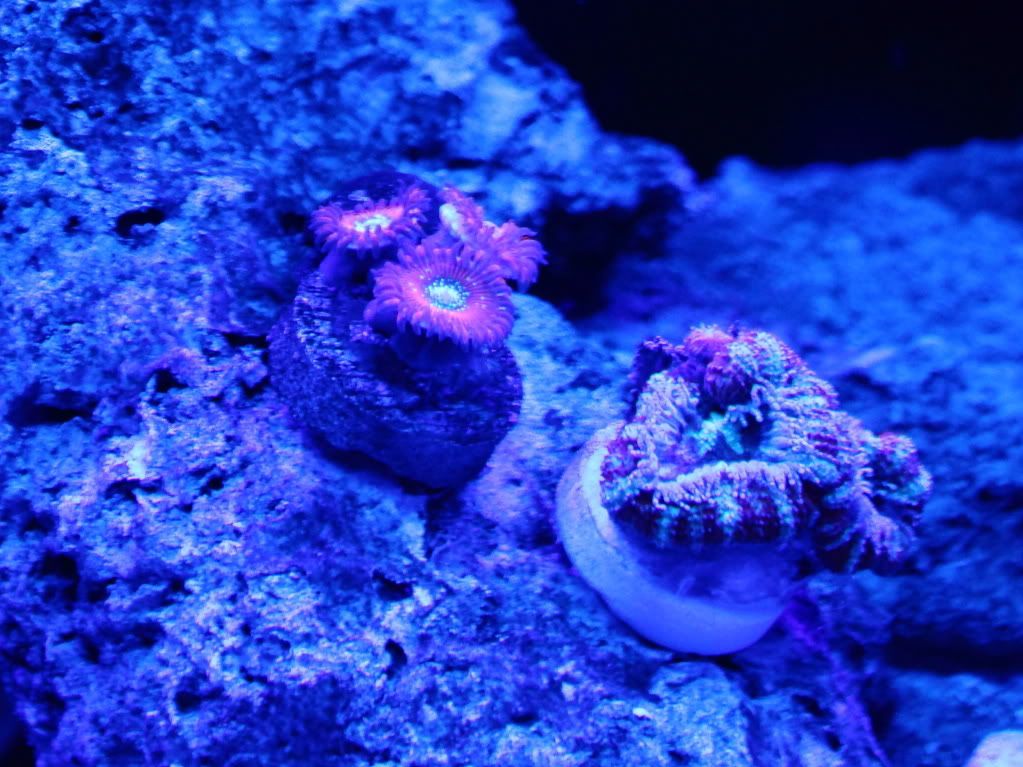 IMG_9123.jpg