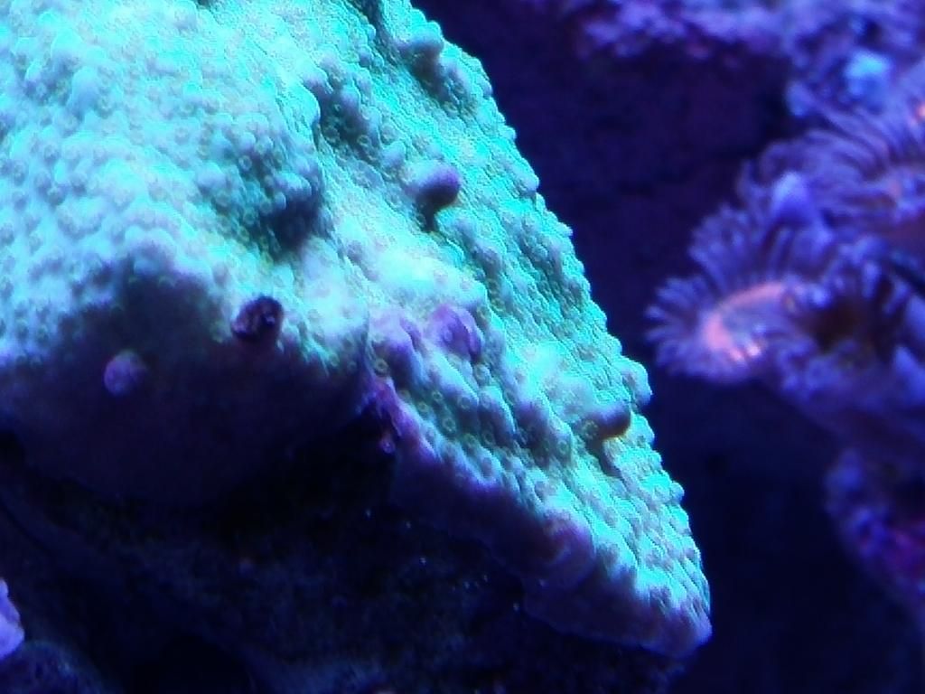 20141202_194147_zpsfrqdihpp.jpg