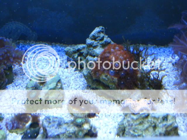 IMG_0548.jpg
