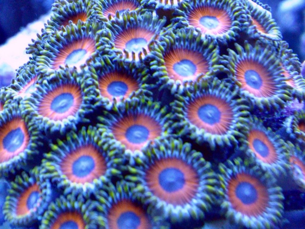 244c3d9b-c16f-46f2-a2b6-2ed2c07310a7.jpg