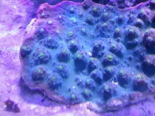 2011-07-19141818.jpg