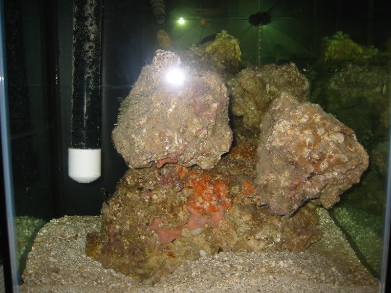 115-1559_IMG.jpg