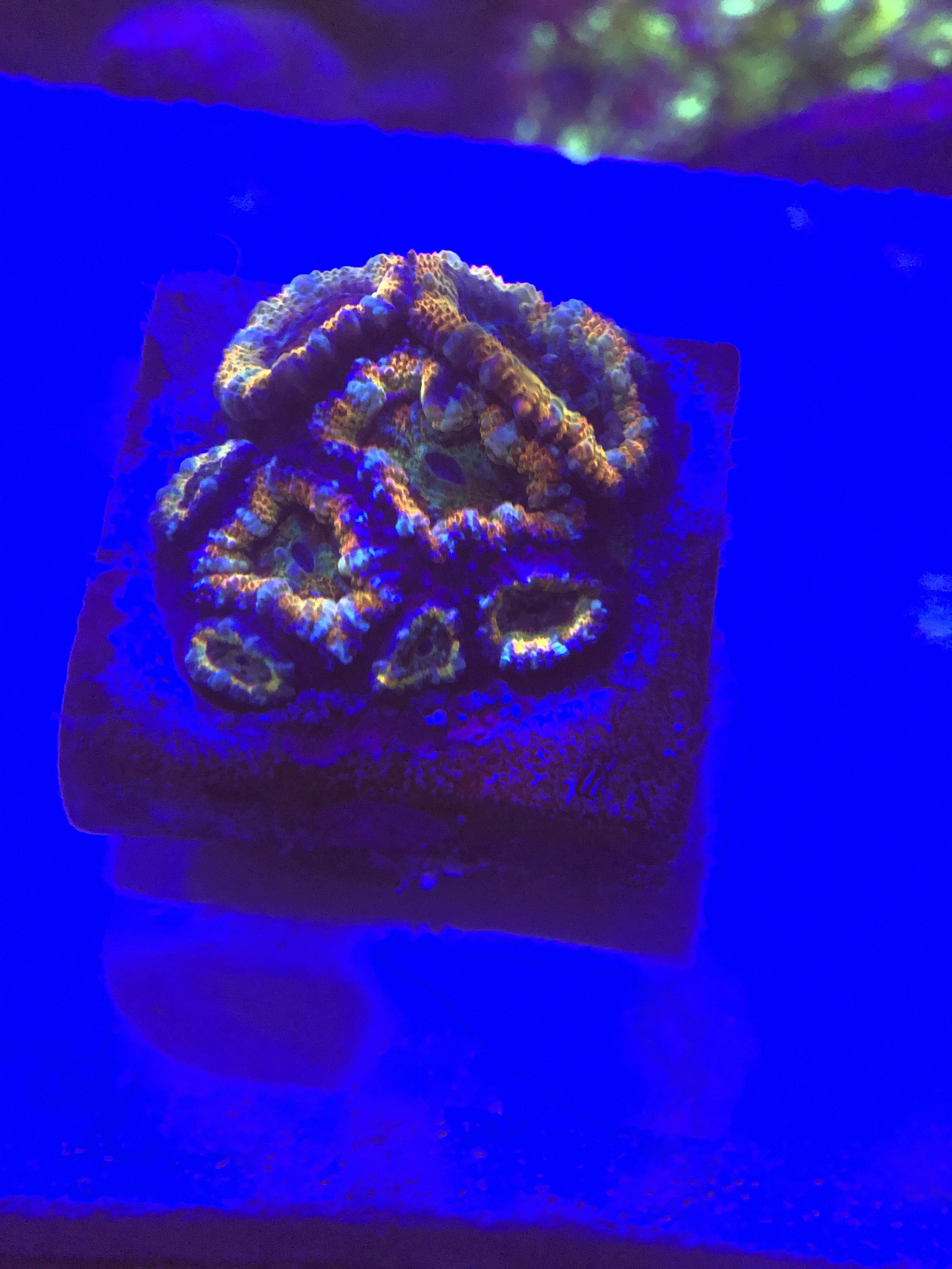 755c51cc6cfd5861920ce0936fe3405a.jpg