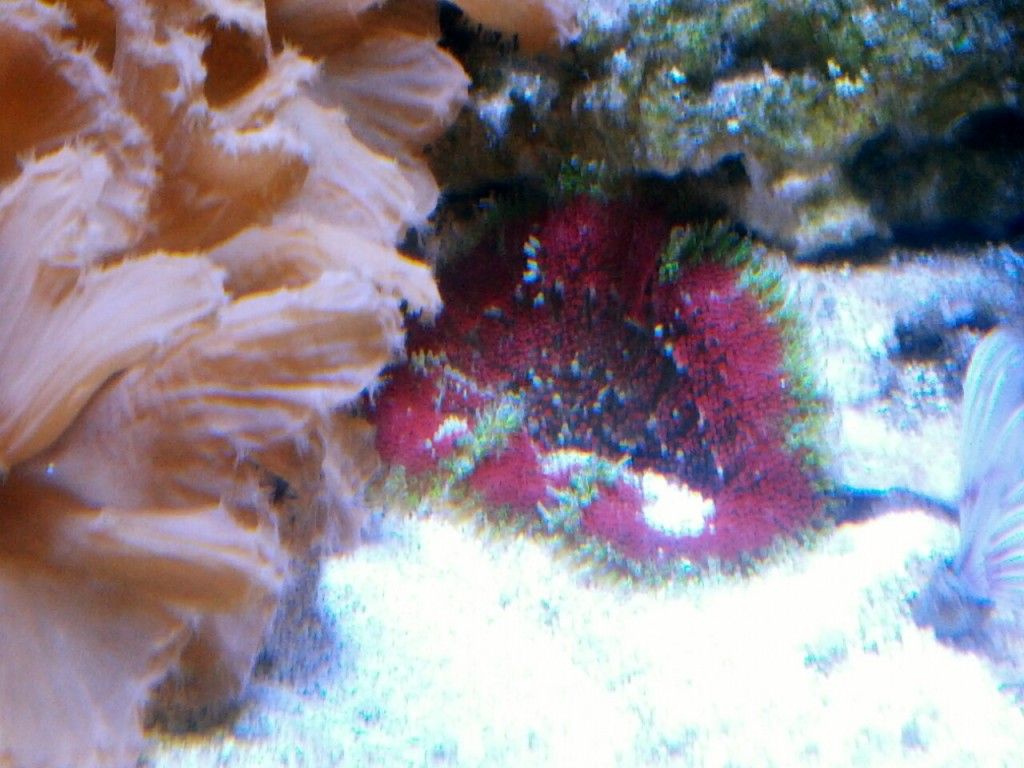 IMG_20120831_131910.jpg