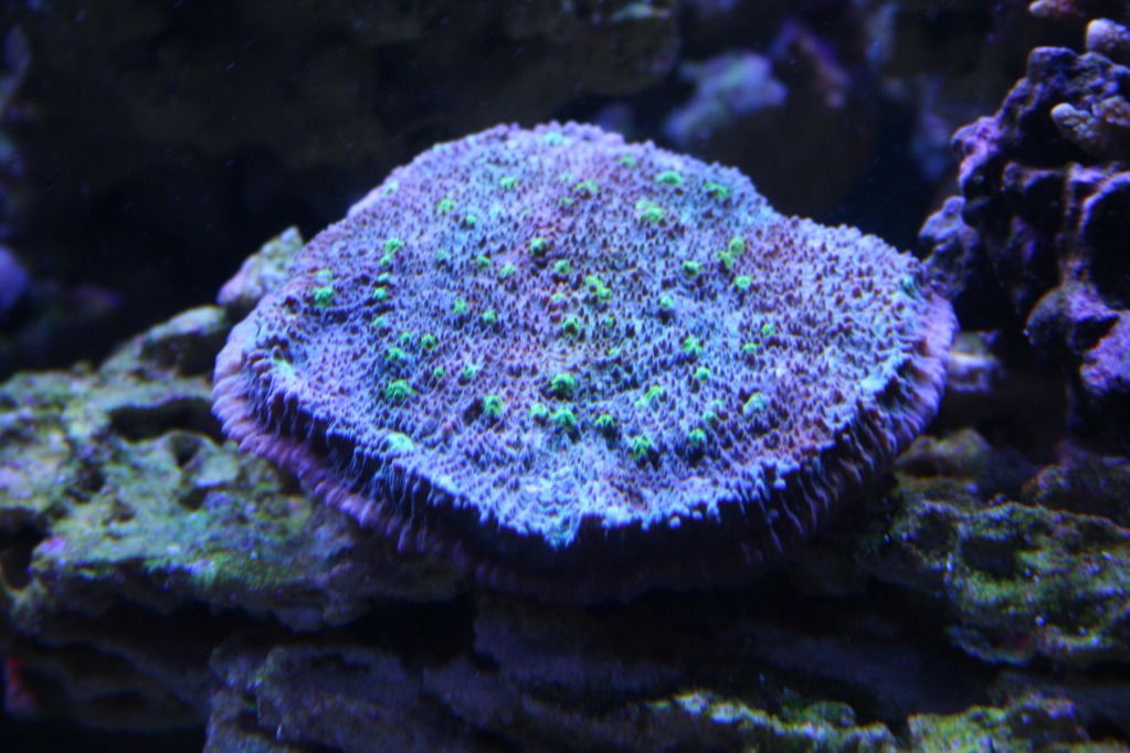 IMG_0326.jpg