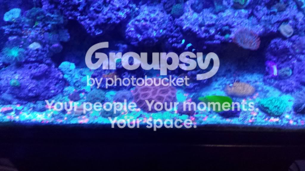 20130909_135831.jpg