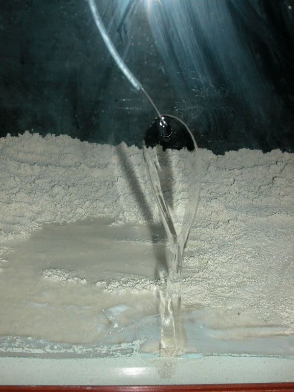 DSCN2553.jpg