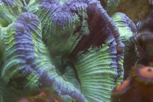 65g_024.jpg