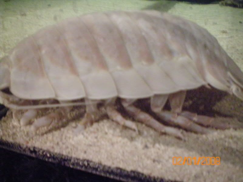 100_0141.jpg