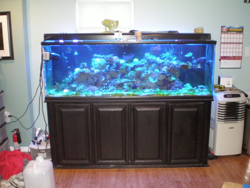 tank008.jpg