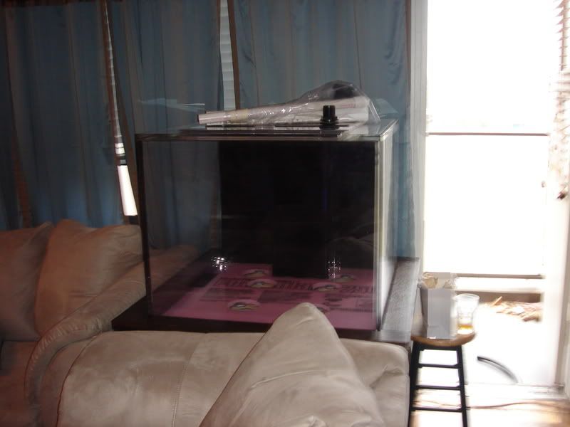 2008_0307100g-square0001.jpg