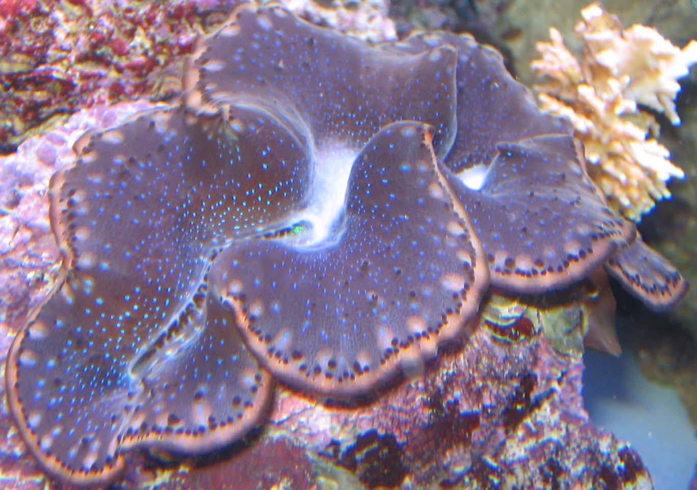 IMG_0232.jpg
