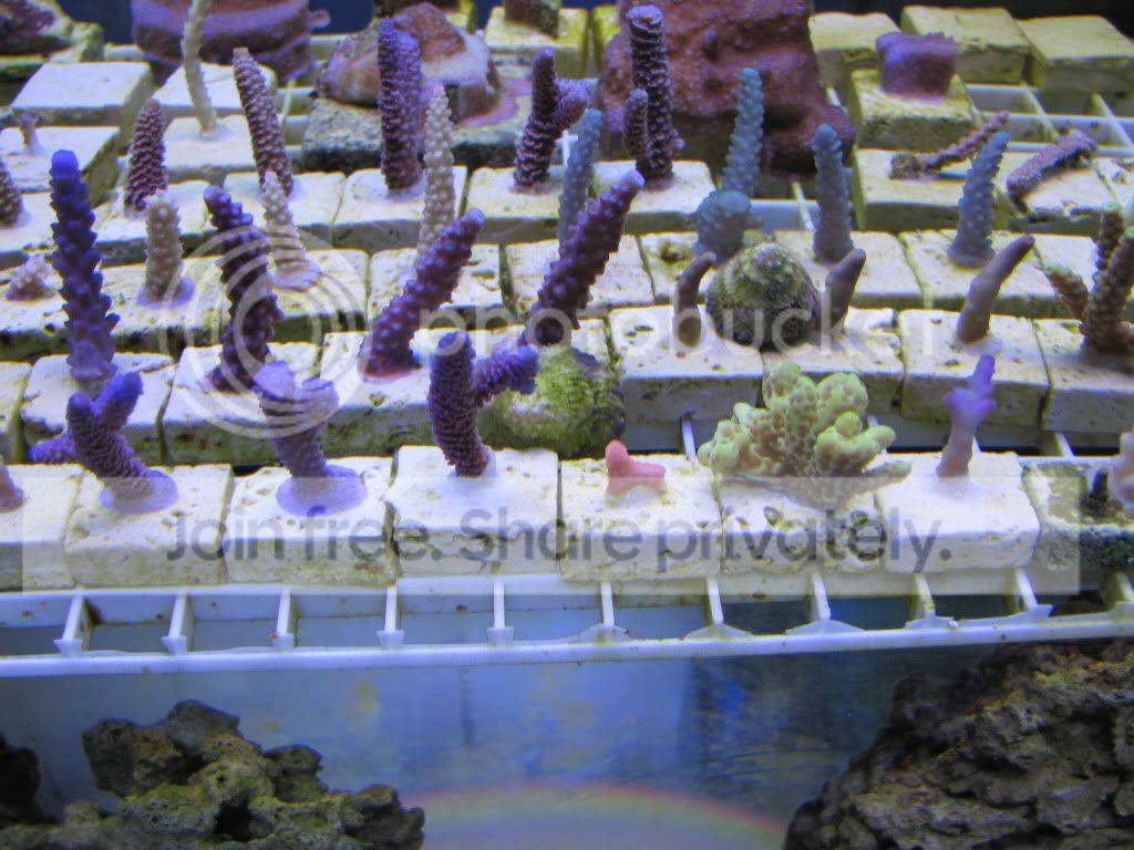 IMG_0406.jpg