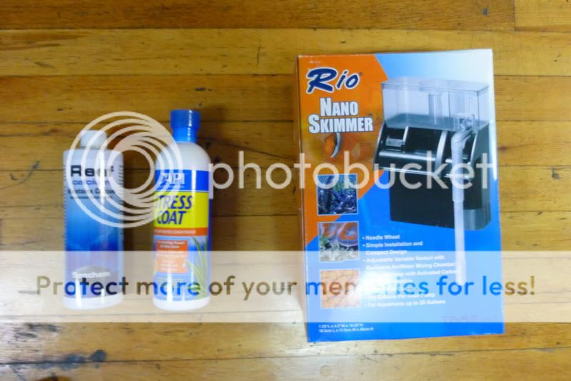 skimmerandliquid.jpg