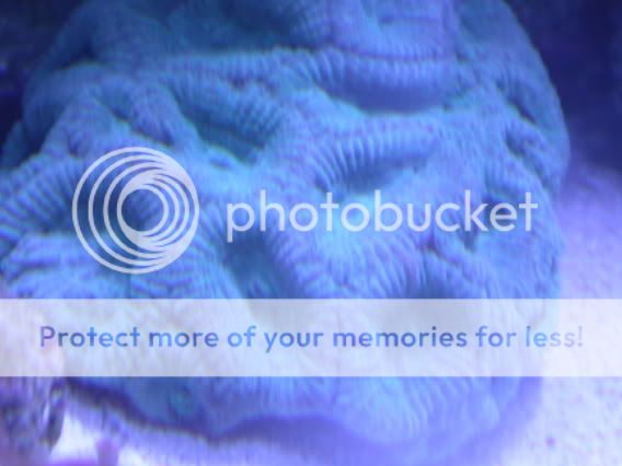 DSCN1635.jpg