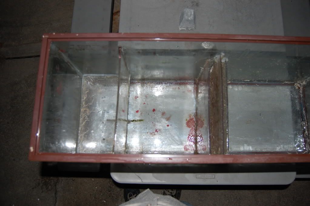 DSC_2007.jpg