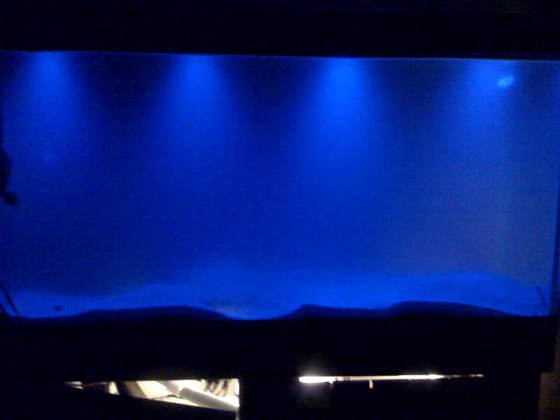 photo2-1.jpg