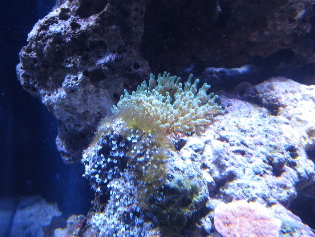 IMG_0181.jpg