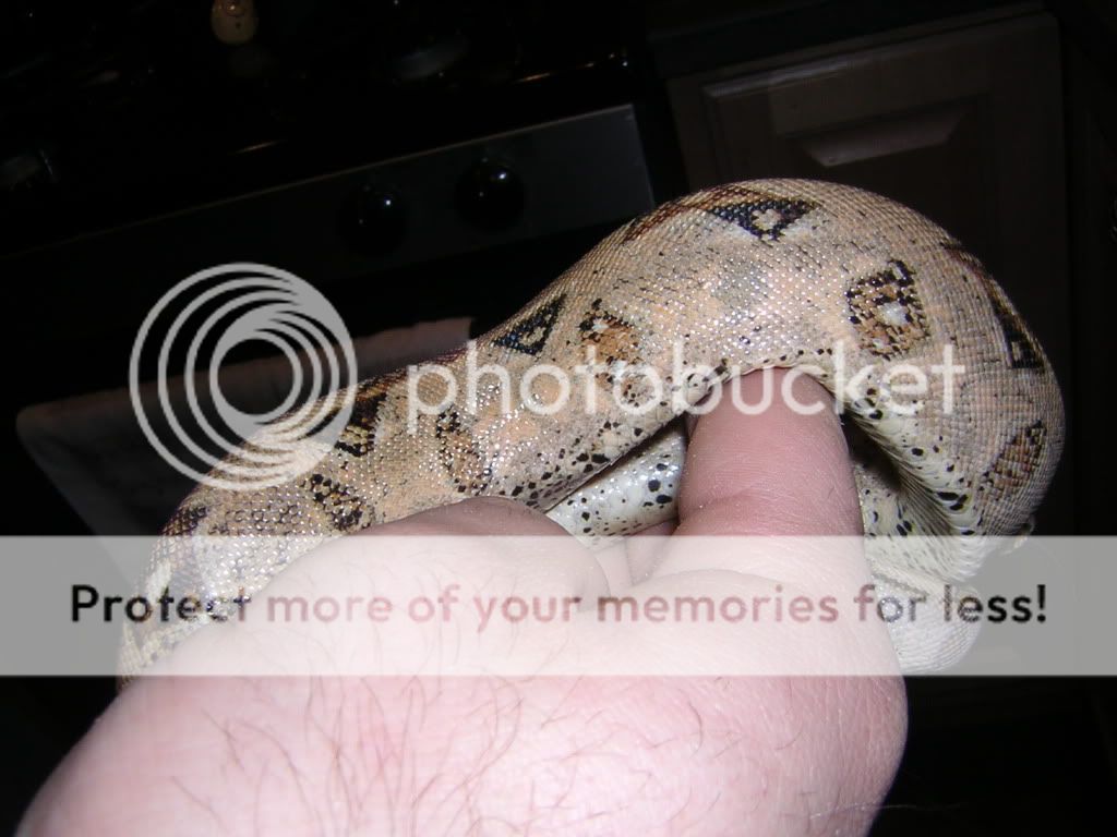 DSCN0982.jpg