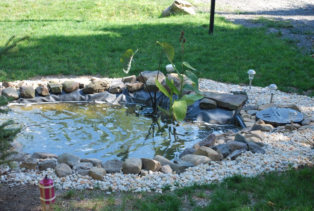 Zoe_Jaxen_Aug26_2012045.jpg