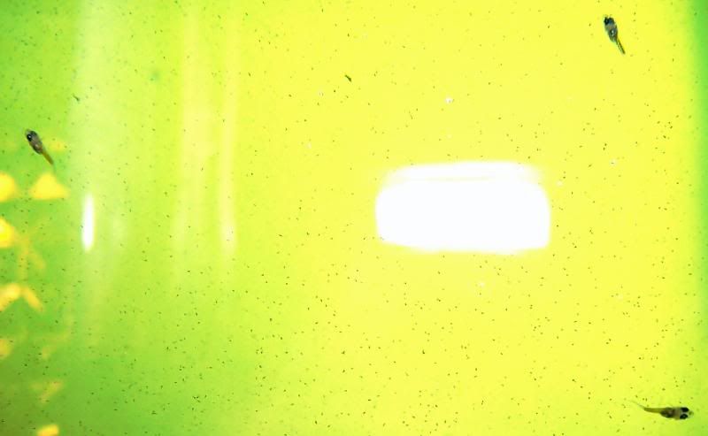 100_2075.jpg