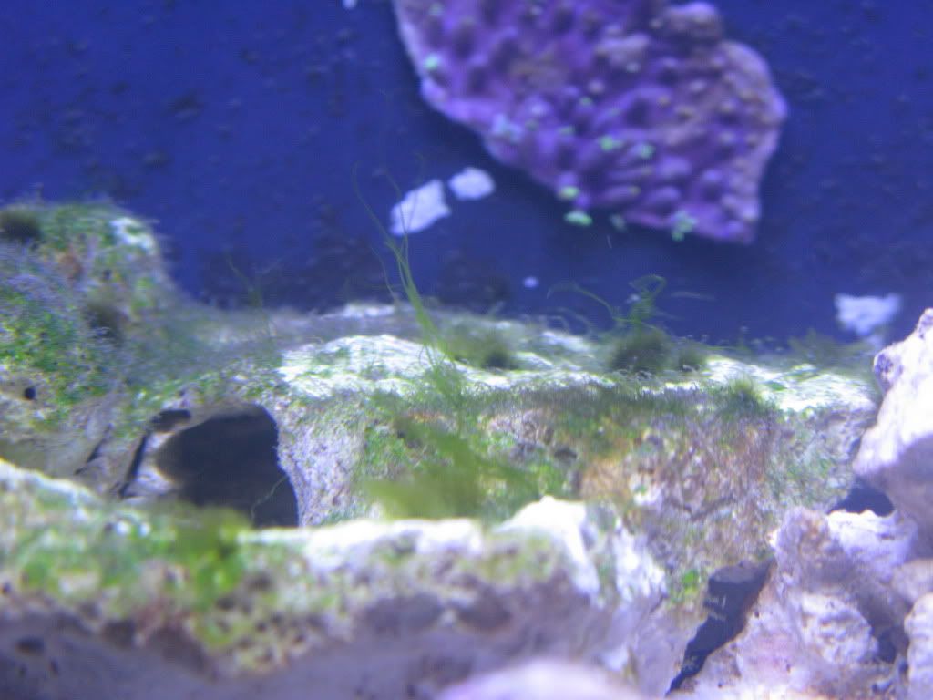 IMG_1463.jpg