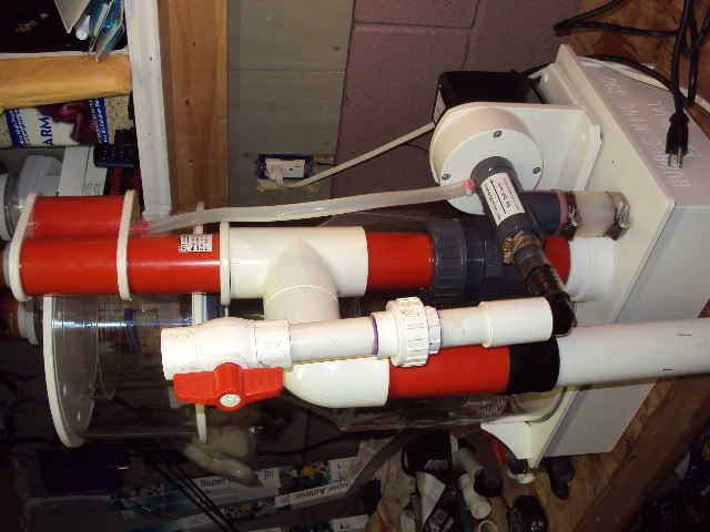 Picture079.jpg