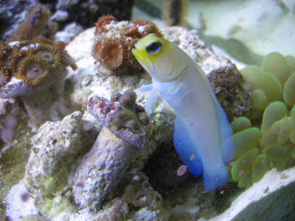 IMG_0484.jpg