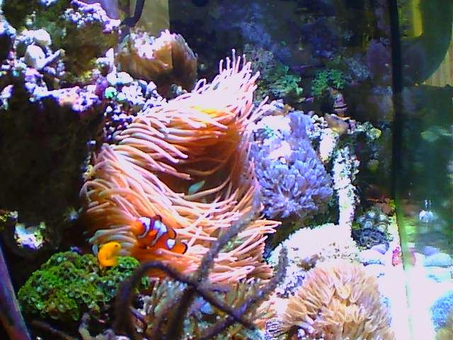 20140814_121501_00_zps0541a142.jpg