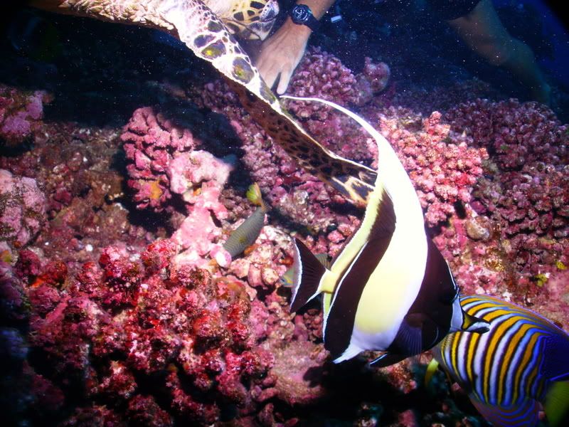 PICT0013.jpg