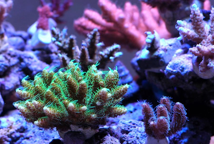 DSC_7698.jpg