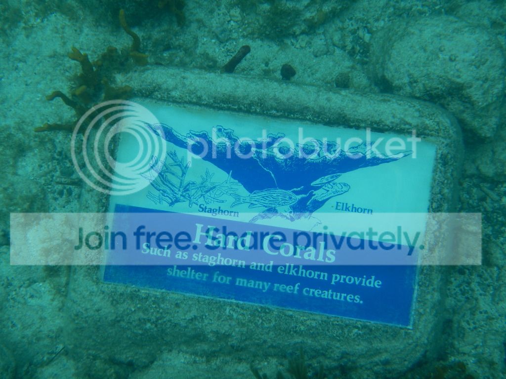 DSCN0501.jpg