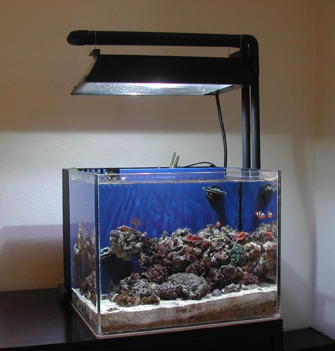 DSCN5556.jpg