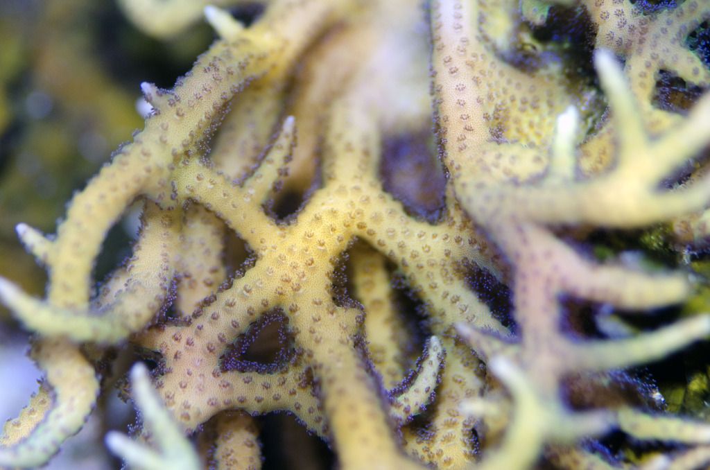 DSC_00342.jpg