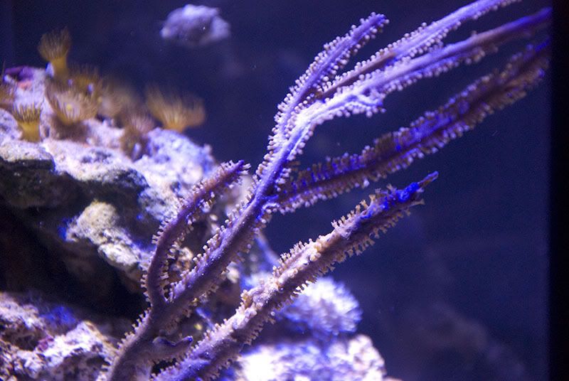 DSC_4402.jpg