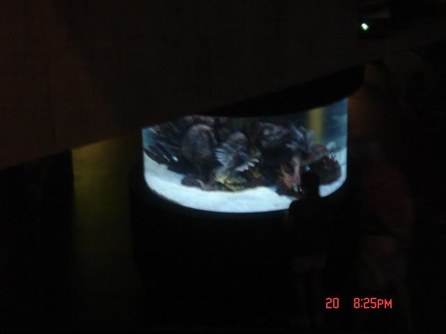DSC01349.jpg